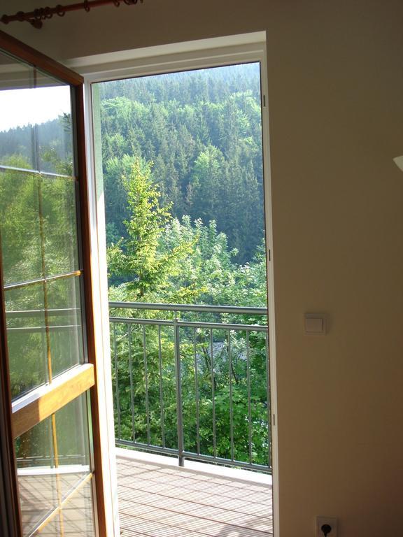 Horske Jeseniky Apartment Mala Moravka